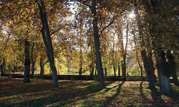 The University of Navarra opts for the Campus of International Excellence